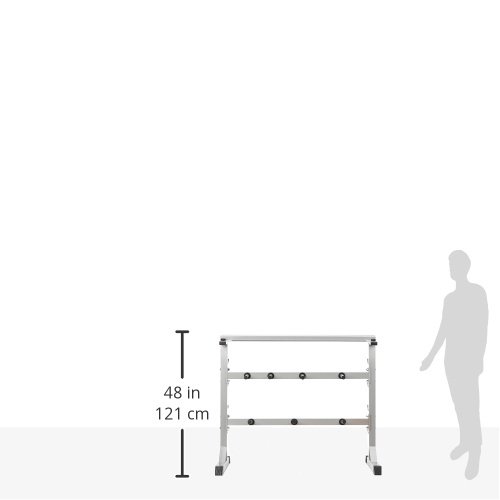 Scheibenständer Hantelständer Hantelablage Scheibenablage 30/31mm in verschiedenen Farben – Gorilla Sports Abage für Hantelscheiben, Gewichte, Hantelstangen, Kurzhanteln - 3