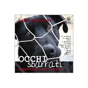 Occhi sbarrati. Reportage dal canile