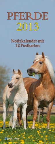 Streifenkalender Pferde 2013
