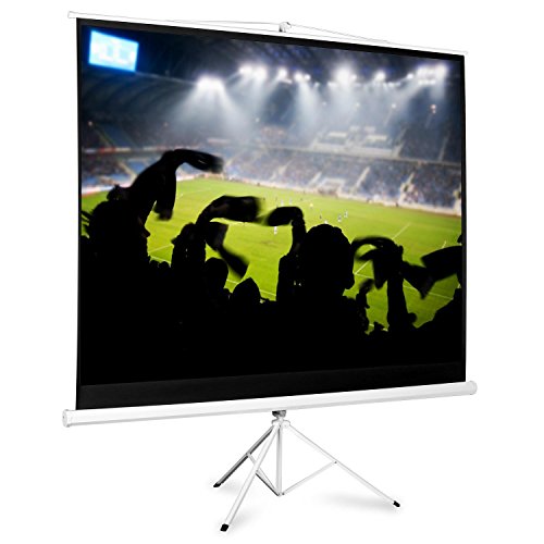 Home Cinema Projector Screen with Tripod (200x150cm, Gain Factor: 1.0, Ease of Mobility)