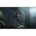 Produktbild StarCraft 2 Heart of the Swarm (39inch x 24inch / 98cm x 60cm) Silk Print Poster - Seide Plakat - 1FD019