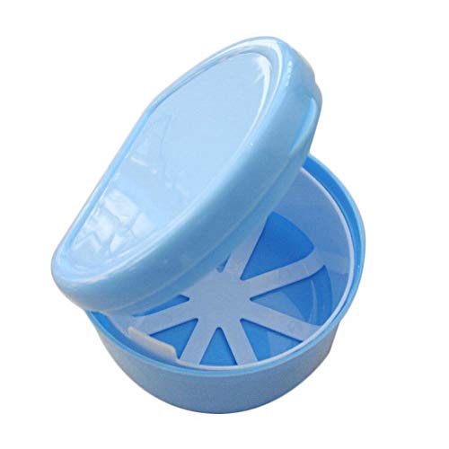 WDoit - Boîtier de protection pour prothèse dentaire, en plastique (8,8 x 7,5 x 6 cm)