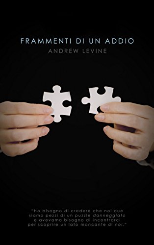 Andrew Levine - Frammenti di un addio (2016)