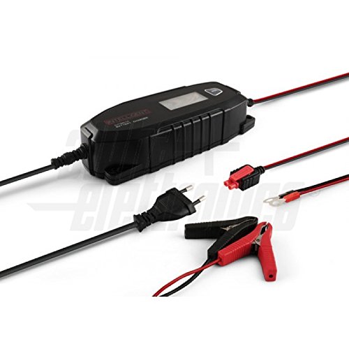 Preisvergleich Produktbild Carica batteria 6 / 12V Batterie Piombo + 12V Batterie LiFePO4-4A - AlphaElettronica KCP4000 / U