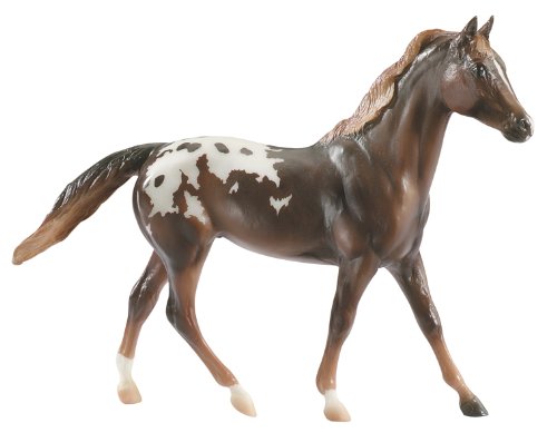 Classics- Chestnut Appaloosa