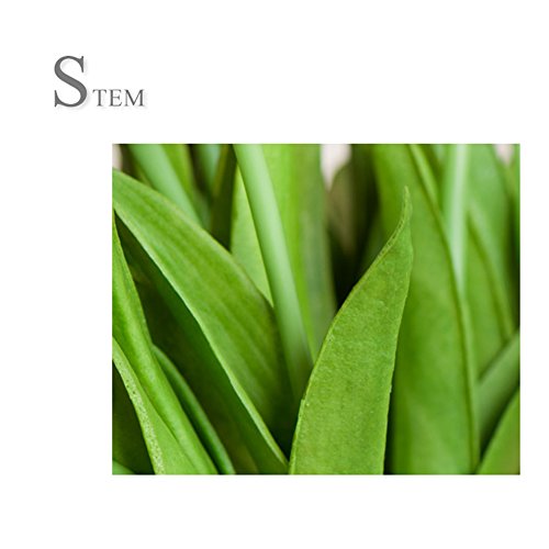 10 Stück JUYUAN-EU Tulpe künstliche Blumen mit Blätter Dekoriere Kunstblumen Latex Real Touch Bridal Wedding Bouquet Home Decor Hell Rosa - 4