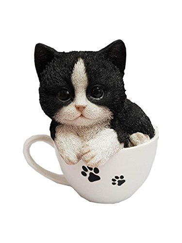 M.E.G Tarjetas y Regalos Vivid Arts Teacup Pet Pals - Gatito Blanco y Negro en una Taza de té (TP-KT41-F)