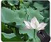Produktbild Indische Lotusblume verlässt Mausunterlage Anti-Rutsch - Lotus rutschfeste Gummibasis Mousepad