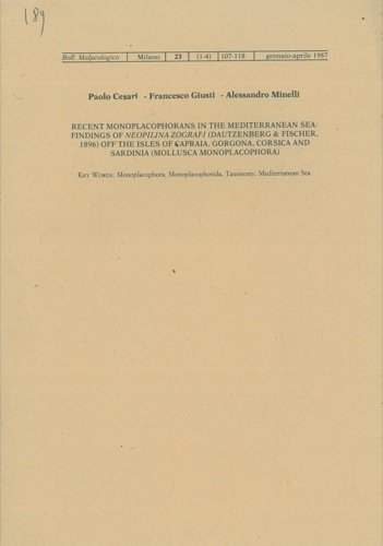 Neopilina Lexikon der Biologie