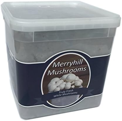 Merryhill Mushrooms - Grow Your Own Fresh White Lidded Gift Mushroom Kit (Single White Lidded Gift Kit)