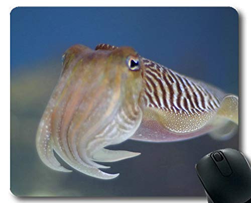 Preisvergleich Produktbild Mauspad, Koi-Fischthema einzigartiger Gaming-Mauspads