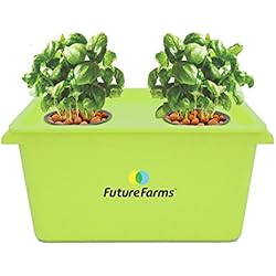 Darwin Junior Hydroponic Starter Kit (Green)