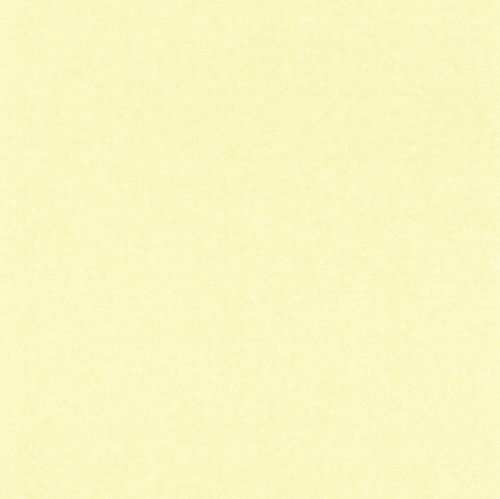 RT PapierTapete Kollektion Villa Coppenrath, mehrfarbig, 295719