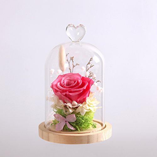 Gazechimp Glashaube Glasglocke Glassturz mit Holzboden Fairy Garten Terrarium Diy Landschaften Blumen Vase Haus Dekoration Herz - 2