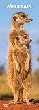 Meerkats - Erdmännchen 2020: Original BrownTrout-Kalender - Slimline [Mehrsprachig] [Kalender] (Slimline-Kalender) by 