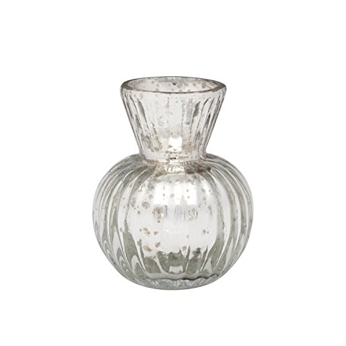 Sophie Allport Silber aus Glas Vase
