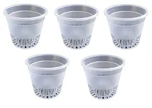 Minerva Naturals Clear/Transparent Plastic Pots for Orchids (4.5-inch) -Pack of 5