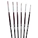 eBoot Detail Paint Brush Set Miniature Brushes for Watercolor, Acrylic Painting and Modelmakers, 6 Pieces
