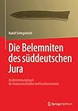  Die Belemniten des süddeutschen Jura: Ein Bestimmungsbuch für Geowissenschaftler und Fossiliensammler