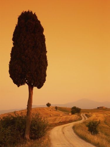 Tom Mackie 60 x 80 cm Bella Toscana Canvas