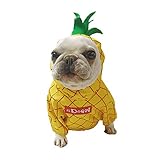 Este disfraz de piña para perro Halloween es divertido, afrutado y fabuloso.