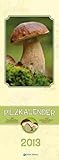 Image de Pilzkalender 2013 Maxi-Streifenkalender