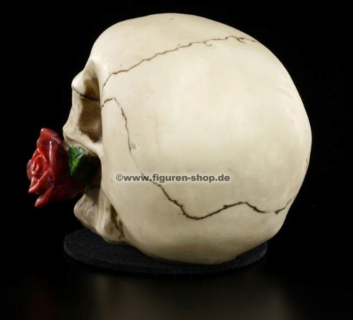 Nemesis-Now-Rose-Dead-Skull-Figurine-15cm