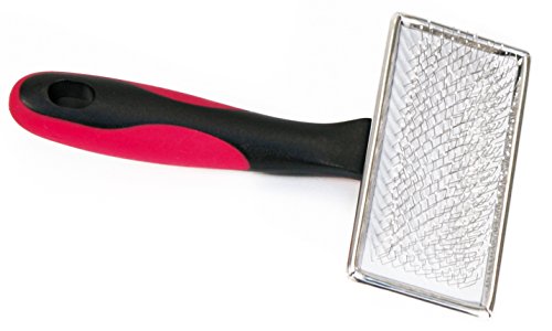 Croci Carde Bosse pour Chien Vanité M