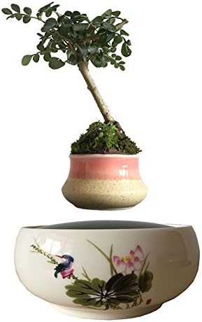 creative suspension potted plants fleshy simple decoration magnetic diy floral gift air bonsai floating-C