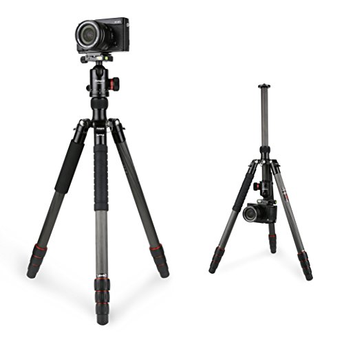 Fotopro X-go Trípode Profesional de Fibra de Carbono para Cámara, 64 Pulgadas Compacto y Portátil Trípode Monopié para Cámara y DSLR Nikon, Sony, Canon, Pentax, con Bolsa de Transporte, Negro.