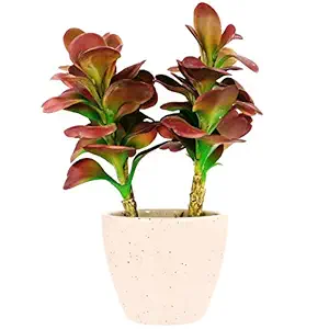 &BLOOMS - and BLOOMS Lucky Purple Jade Artificial Plant