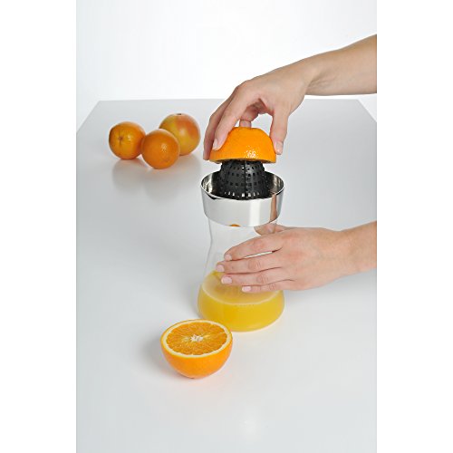 WMF Zitruspresse Basic Cromargan Edelstahl rostfrei 18/10 poliert spülmaschinengeeignet - 2