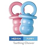 hund schnuller gefressen speziell für Junghunde Paulchen Puppy Kong Binkie (M) 15910 Hunde-Spielzeug 14 cm (farblich sortiert)