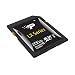Produktbild Patriot LX-Serie Class 10 SDXC Card- SDXC 256GB