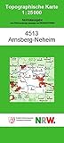  Topographische Karte 4513: Arnsberg-Neheim (Topographische Karten 1:25000 (TK 25) Nordrhein-Westfalen (amtlich) / Normalausgabe (N): Grundriss, Gewässer, Höhenlinien, Vegetation)