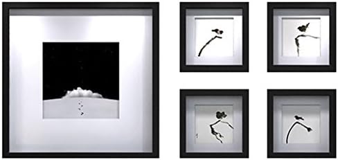 HDOH Modern Fashion Photo Wall, Black Rectangular Pine Frame Portfolio (5 Packs)
