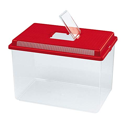 Ferplast Geo extra-large récipient en plastique pour poissons 11 L