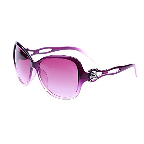 FOONEE Fashion Vintage Ladies Hollow Out Large Sunglasses,Purple