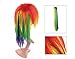 Discoball Womens Ladies Sexy Long Straight Full Wig Tail Set for Rainbow Dash Multi color Cosplay Halloween Costume Party Fancy Hair