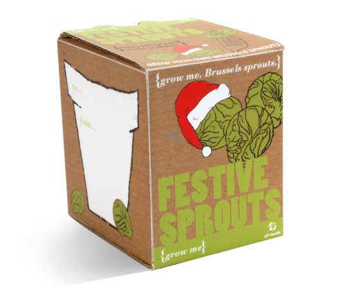 Gift Republic Ltd  - Kit de germinación para invernaderos (col de bruselas)