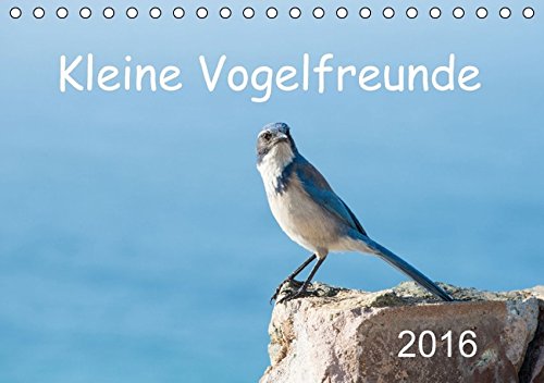 Kleine Vogelfreunde (Tischkalender 2016 DIN A5 quer): Kleine Vögel dieser Welt (Monatskalender, 14 Seiten ) (CALVENDO Tiere)