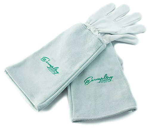 Preisvergleich Produktbild Rosen Gartenhandschuhe für Damen und Herren. Ziegenleder Gartenhandschuhe haben eine Lange Rindsleder Manschette zu Schützen für Ihre Arme, bis der Ellenbogen (extra groß, natürlich)