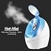 OKACHI GLIYA Nano Facial Steamer Ionic Hot Mist Face Steamer Professional Open Pores Skin Treatment for Blackhead & Acne Portable Inhaler Spa Relieve Sinus Cleansing Pores - Ice Blue