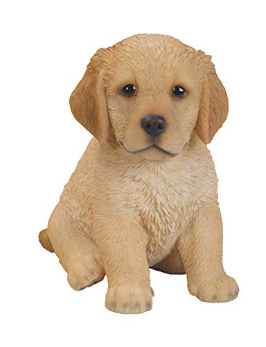 Vivid Arts Pet Pals - Chiot Golden Retriever