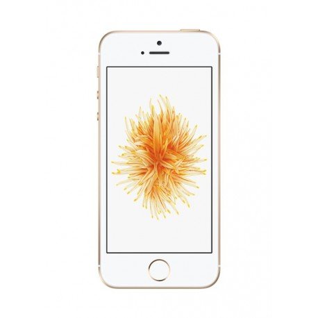 Preisvergleich Produktbild iPhone SE 32GB Gold