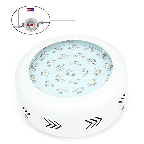 JADIDIS 300W UFO LED Pflanzenlampe Doppelte Chips für Kraut Blume Zimmerpflanzen Wachsend Hydroponisches System 9 Band Vollspektrum Wachsen Licht(10W Leds) - 2