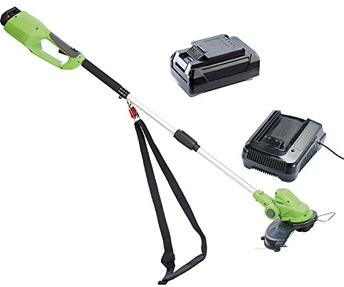 Preisvergleich Produktbild AGT Professional Akku-Rasentrimmer 36V mit Ladestation