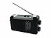 Produktbild POWER plus Gepard Dynamo Solar AM/FM Radio