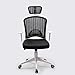Produktbild Boss Chair, Gaming Stuhl, Luxus Racing Sport High Back Freizeit Mesh Swivel Bürostuhl Schalensitz Executive Office Desk Chair - Weiß (Color : Black)