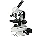 AmScope M158B-2L Cordless Compound Monocular Microscope WF10x and WF20x Eyepieces 40x-800x Magnification Upper and Lower LED Illumination with Rheostat Brightfield Single-Lens Condenser Coaxial Coarse and Fine Focus Plain Stage 110V or Battery-Powered RS.17221.00